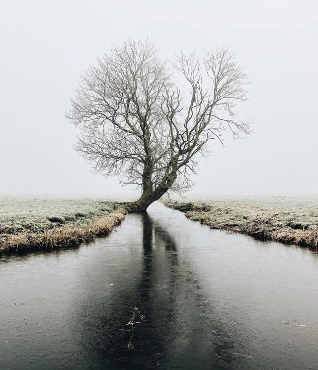 阴雨天如何拍摄出干净简洁的照片？从清理画面开始，拍出安静又耐看的雨天影像

阴雨