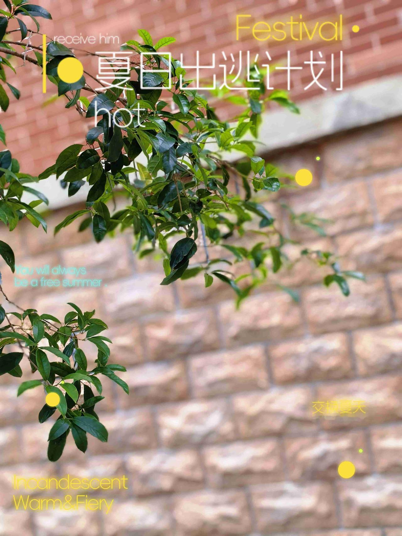 风过，夏意浓。
抓住一缕夏风，
那是止不住的心动。

带定位晒今日生活
我的今日