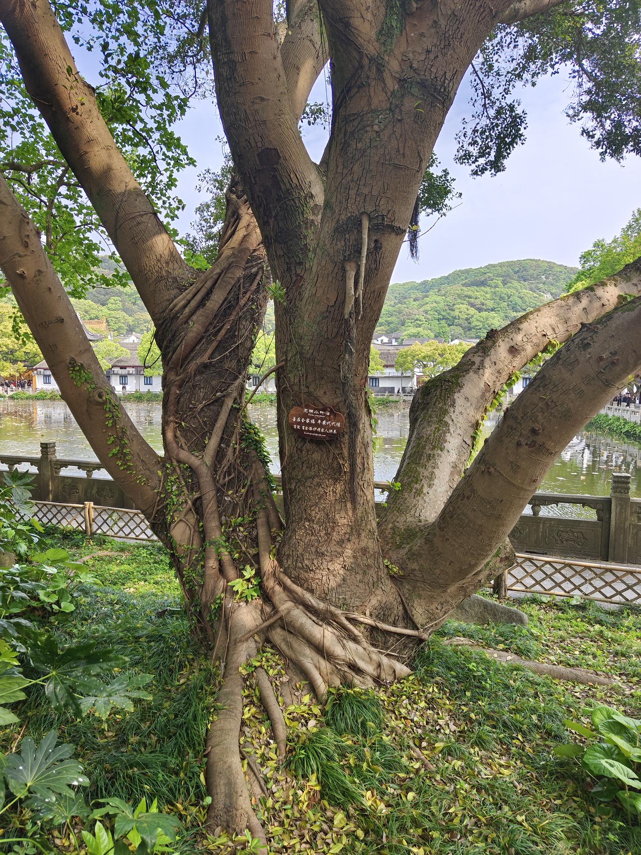 阿联酋退出石油输出国组织（欧佩克），本质上是国家利益之争。在美以伊战事陷入僵局，