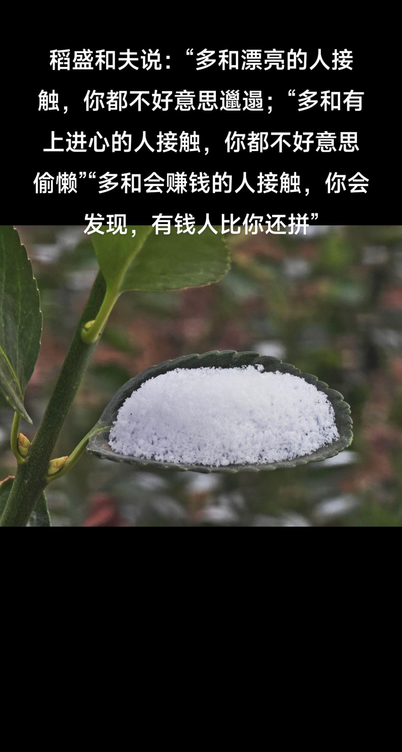 稻盛和夫说：
“多和漂亮的人接触，你都不好意思邋遢；
“多和有上进心的人接触，你