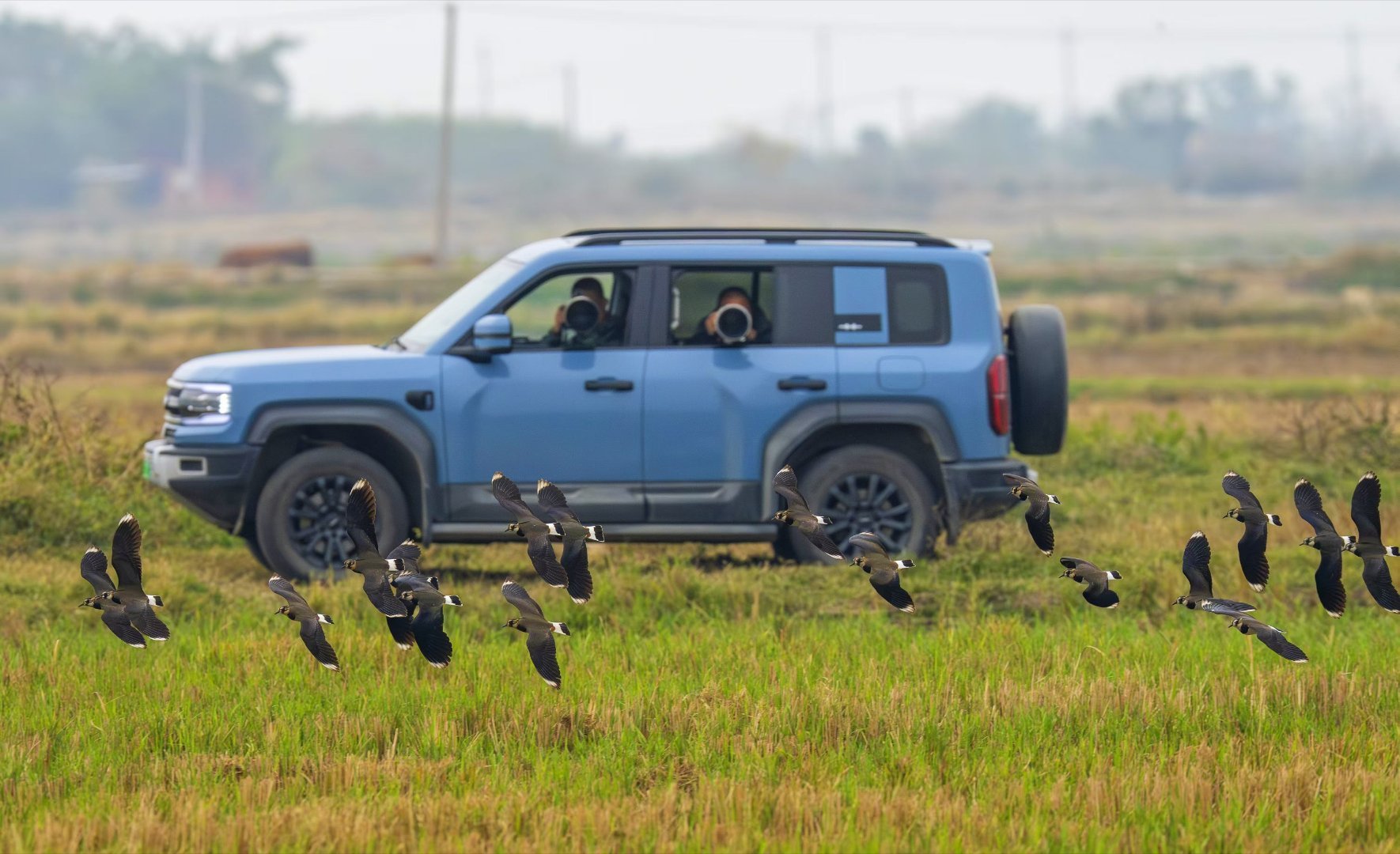 落霞与孤豹齐飞百家车坛