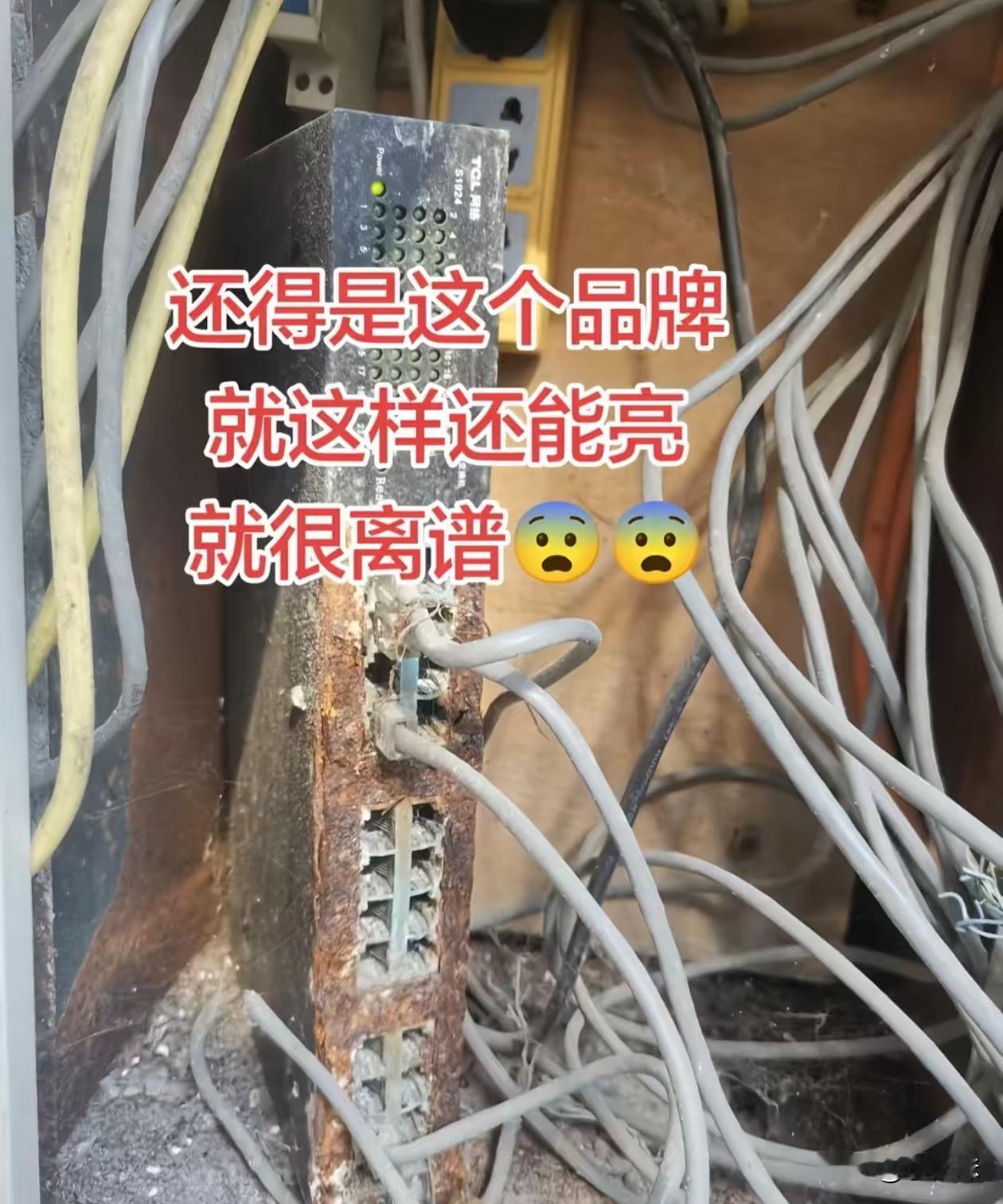 这质量也太好了吧