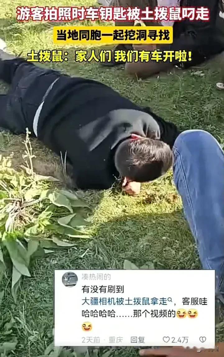 笑不活了！近日，四川一名男子在景区拍照时，顺手把车钥匙放在地上，谁料被土拨鼠偷偷