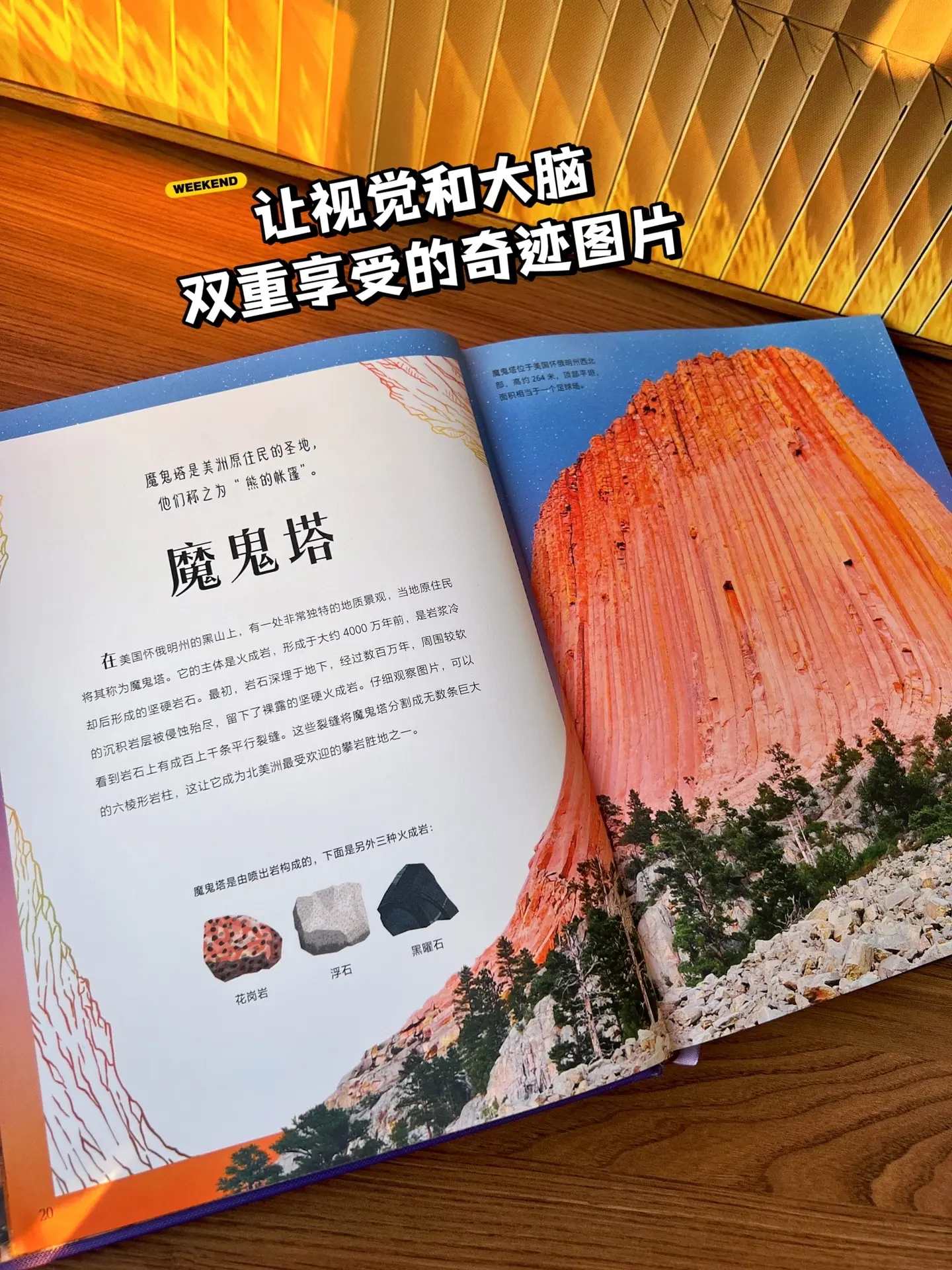 不愧是DK出品，它会满足孩子所有期待🔥。从地球表面的火山🌋，到两极...