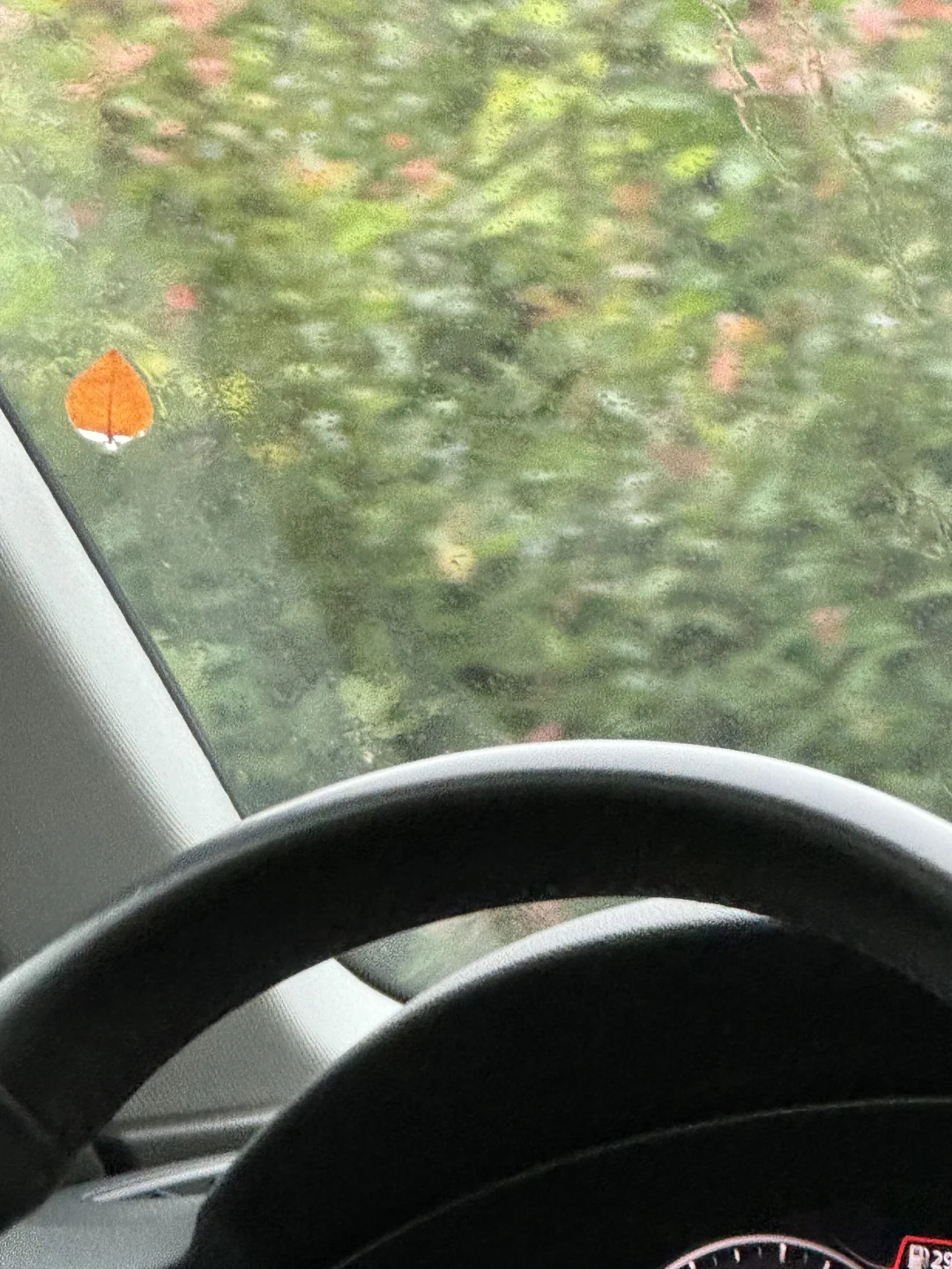 这个视角……太治愈了！🚗