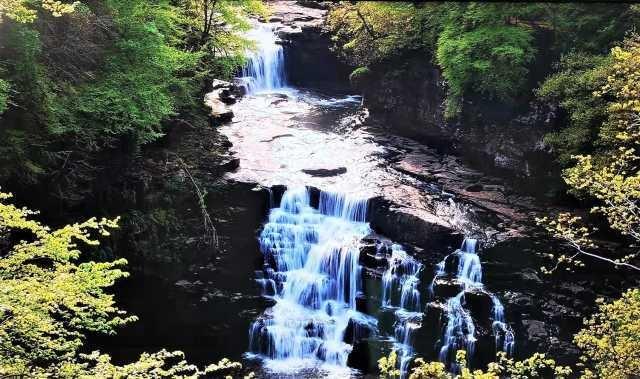 武当山|宁夏罗山：青海云杉4000万年前从岩缝中萌发