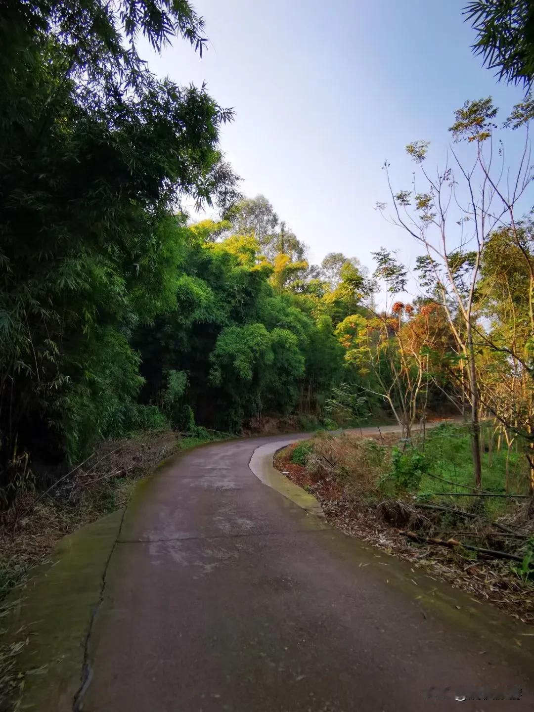 从俞冲到万安场的乡间公路边，竹林深处还有一个当地人称的“岩洞头”。这里的崖壁陡峭