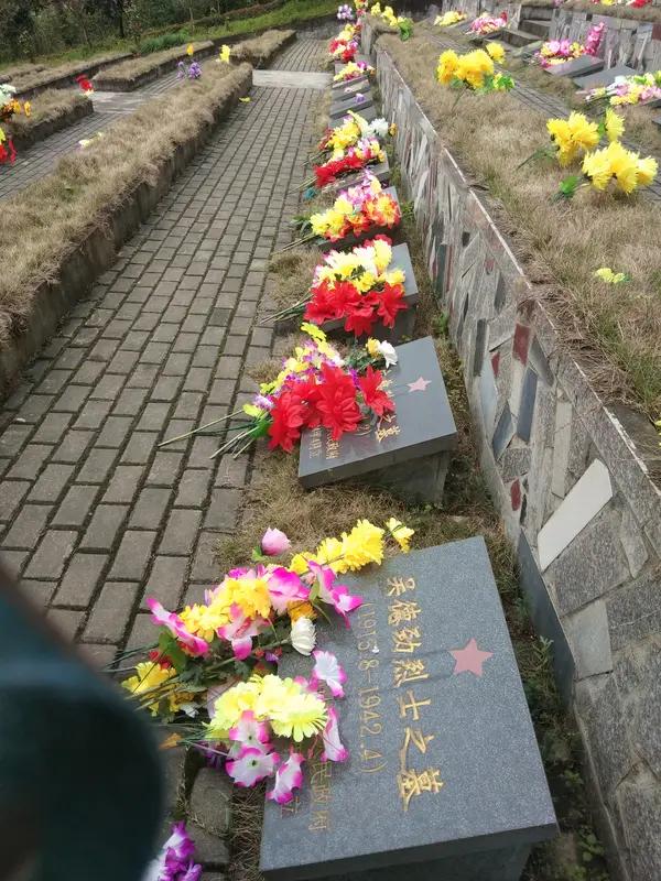 英雄烈士为国家和人民做出了巨大牺牲，他们的家属理应受到全社会的敬重与优待。
在物