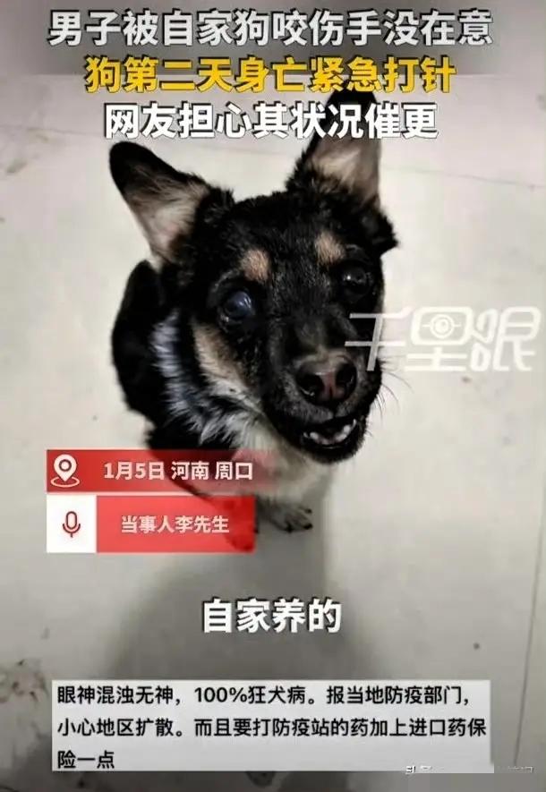 男子被狗咬伤，第二天狗身亡，男子紧急去医院打针！近日，河南，李先生在家，不小心被