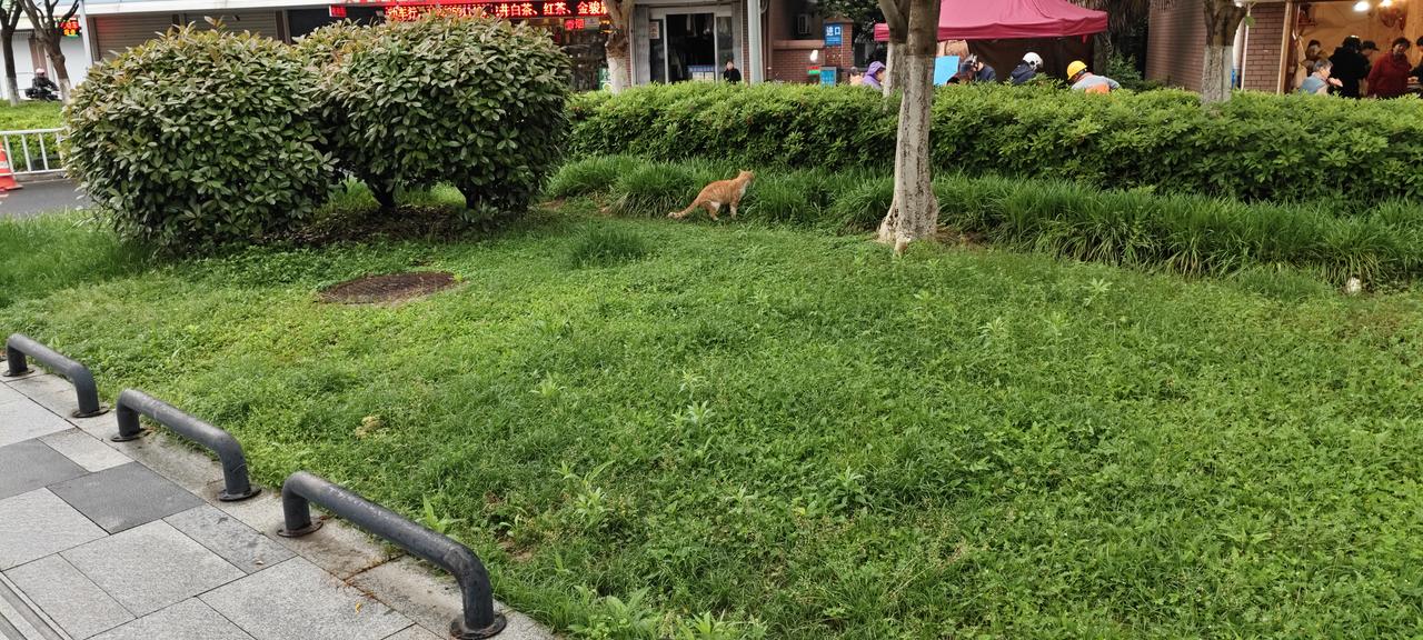 “取消物业”这呼声挺高，好多人觉得物业收钱不服务，还欺负业主。但取消物业真能解决