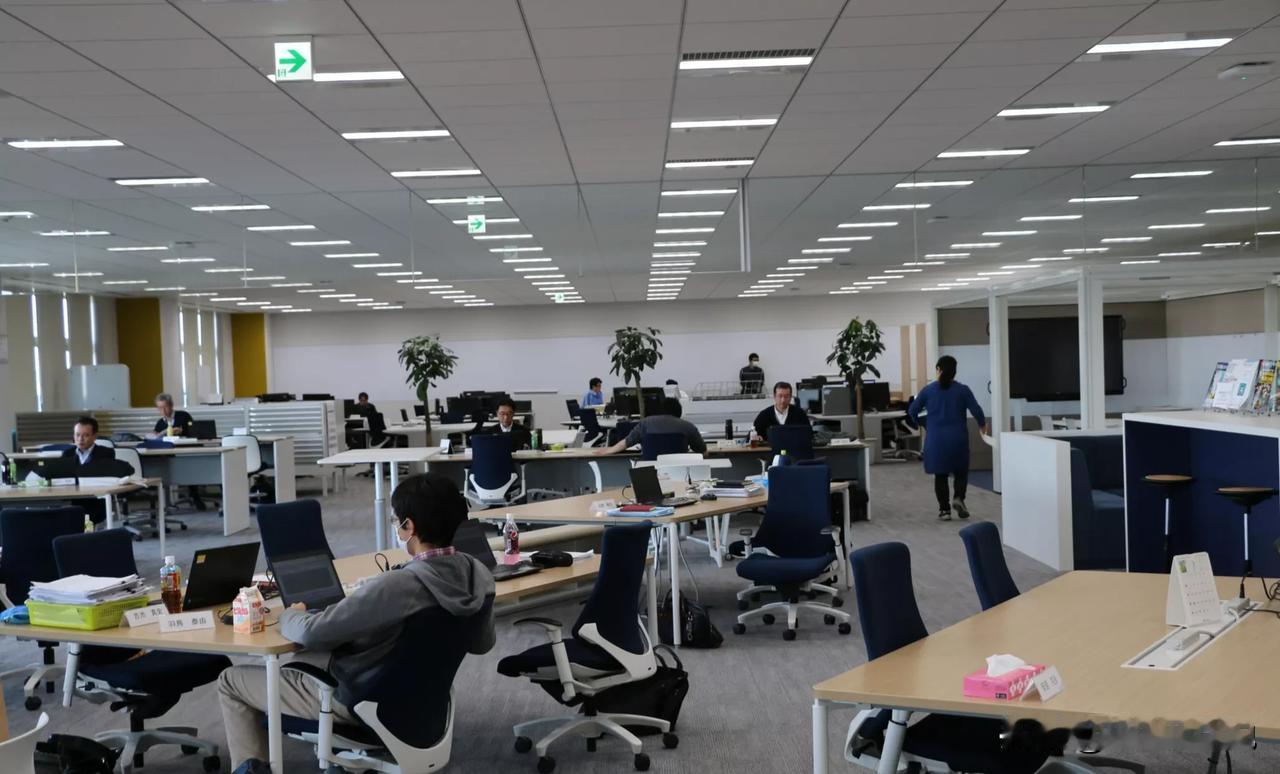 搞笑了，公司招聘一个月工资5000的行政司机，在行政经理、HR总监、分管副总三轮