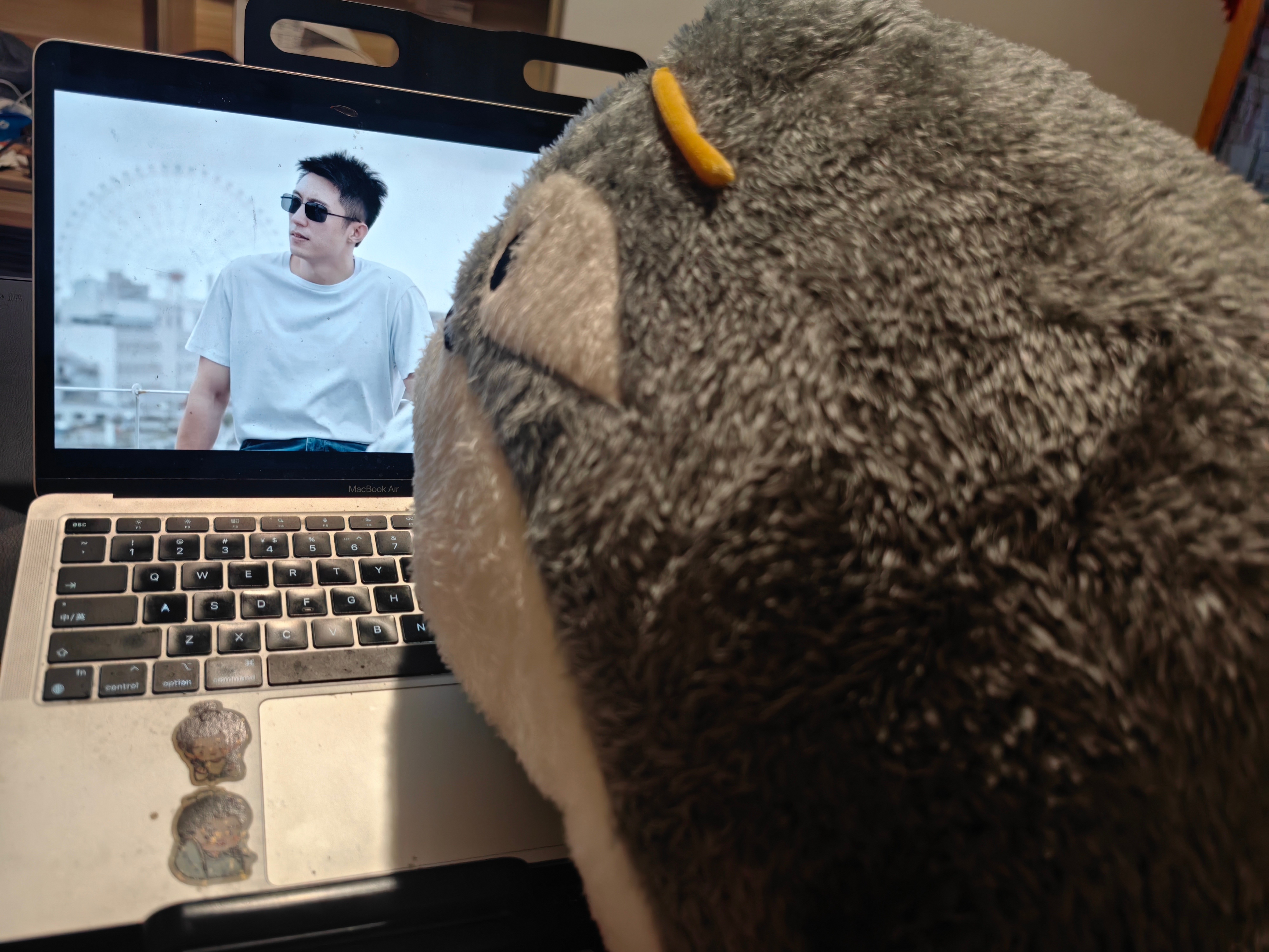 我的大号懵懵鲸到了！！！！好大一只！我的床已经没有我的容身之处了 