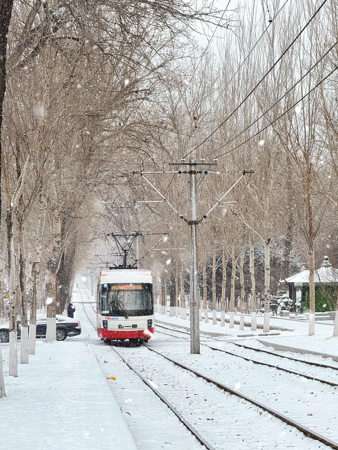 长春的第一场雪❄️