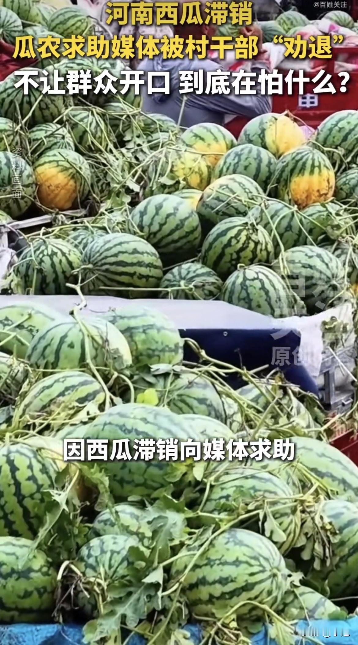 75岁的老瓜农王在太蹲在地头，40吨西瓜差点全烂在地里。

他种了42年瓜。
