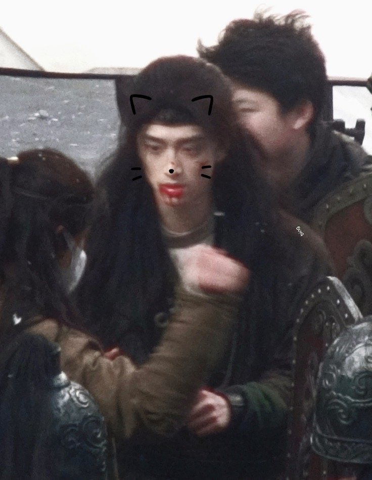 猫 好呆 