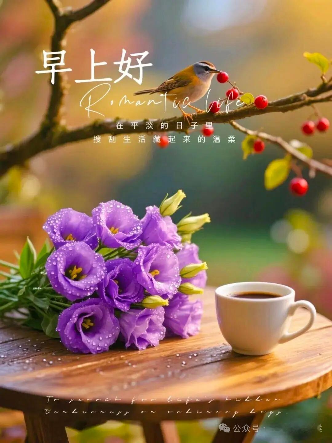 10月4日八月二十三的早上，六点半被窗外的桂花香拽醒，楼下早餐店的蒸笼正冒着白汽