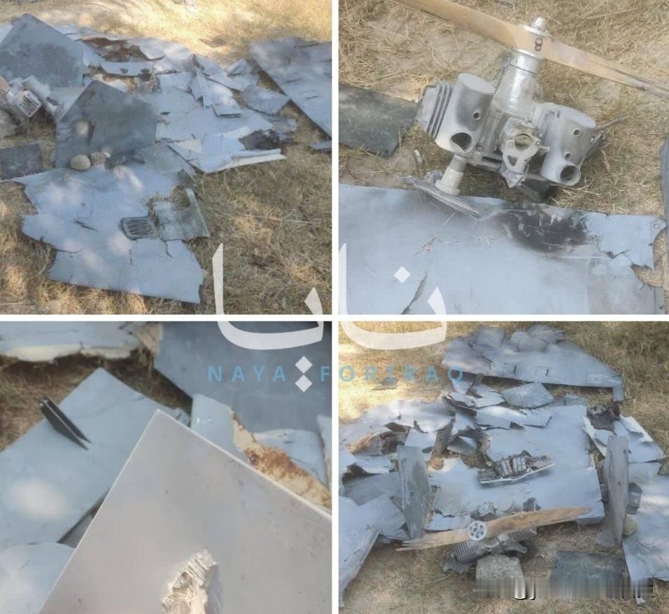 昨晚，伊朗防空部队在该国南部阿巴斯港上空击落了一架美军“卢卡斯”（LUCUS）低