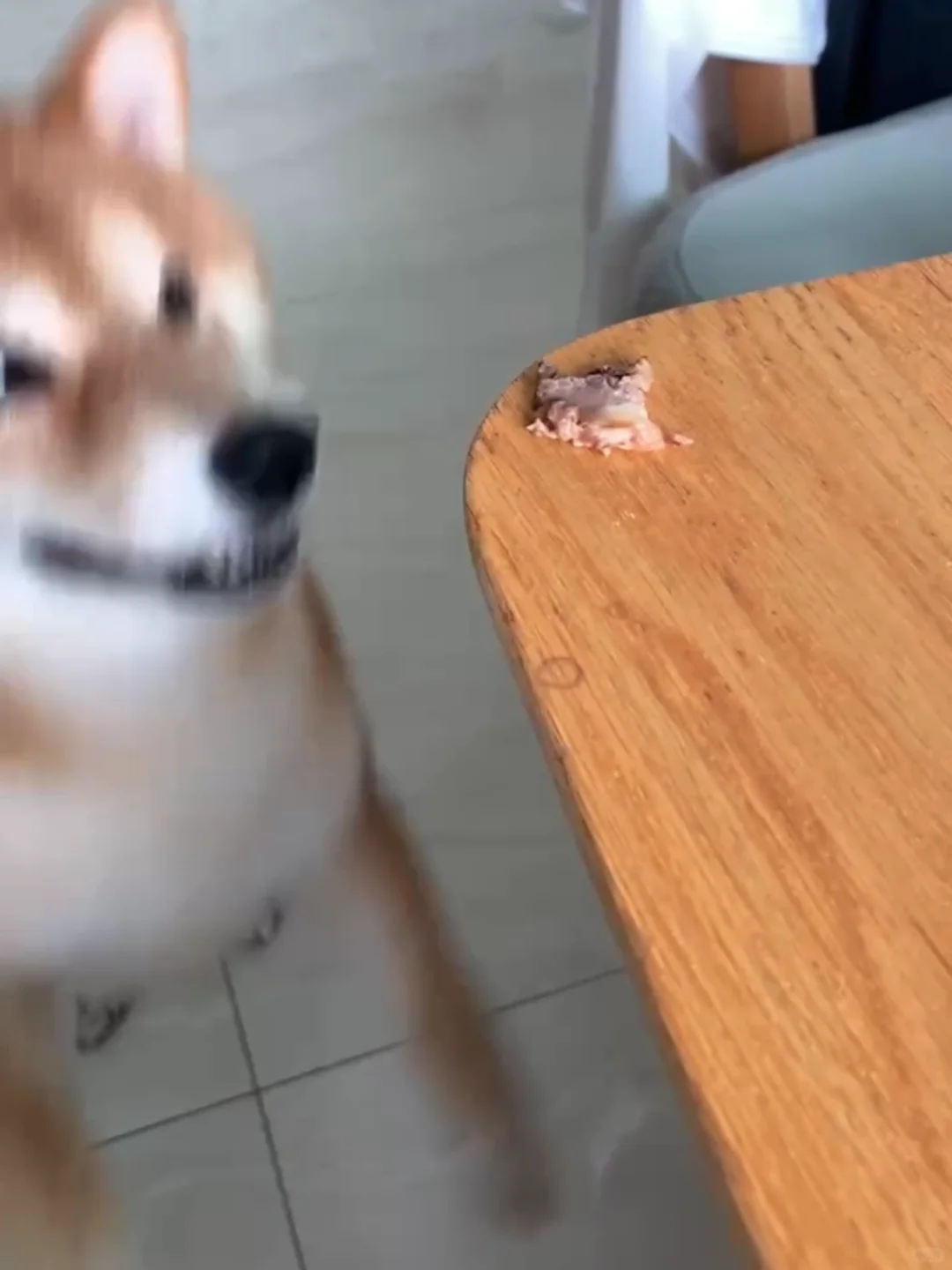嘿嘿