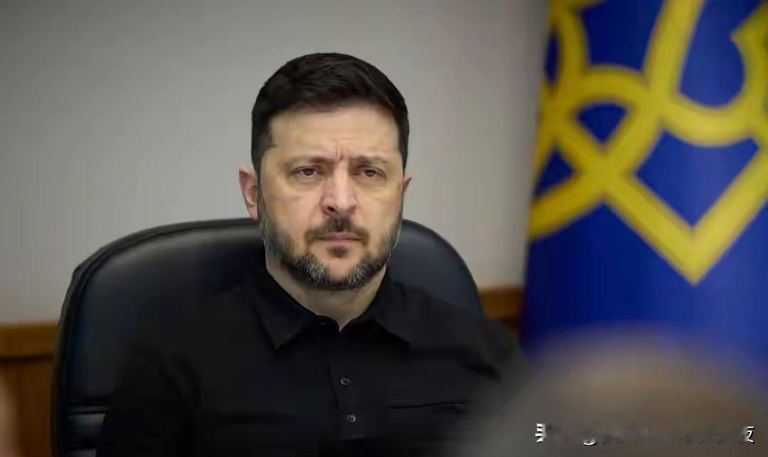 泽连斯基该清醒了，特朗普在见他之前，早已和普京敲定好停战细节