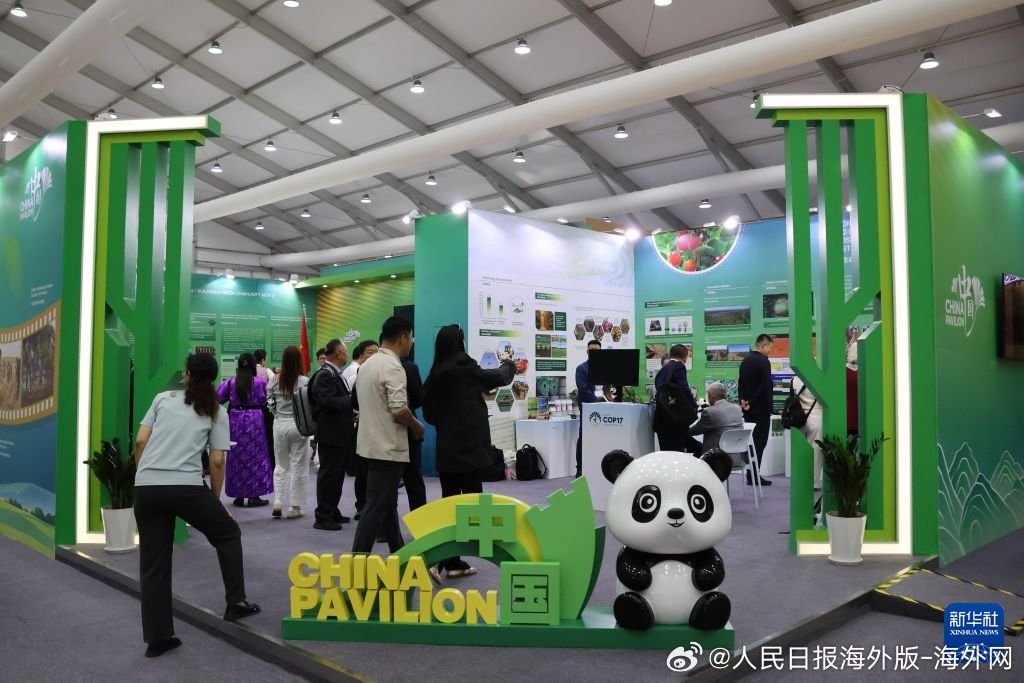 #海外网评# 【海外网评：为全球荒漠化防治提供“中国方案”】当全球目光聚焦蒙古国