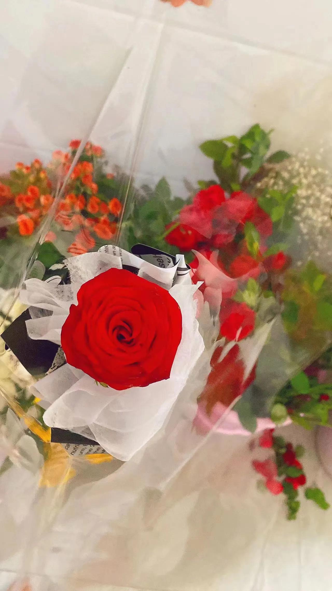 七夕节快乐哦大家，虽然我不快乐。。。。。。