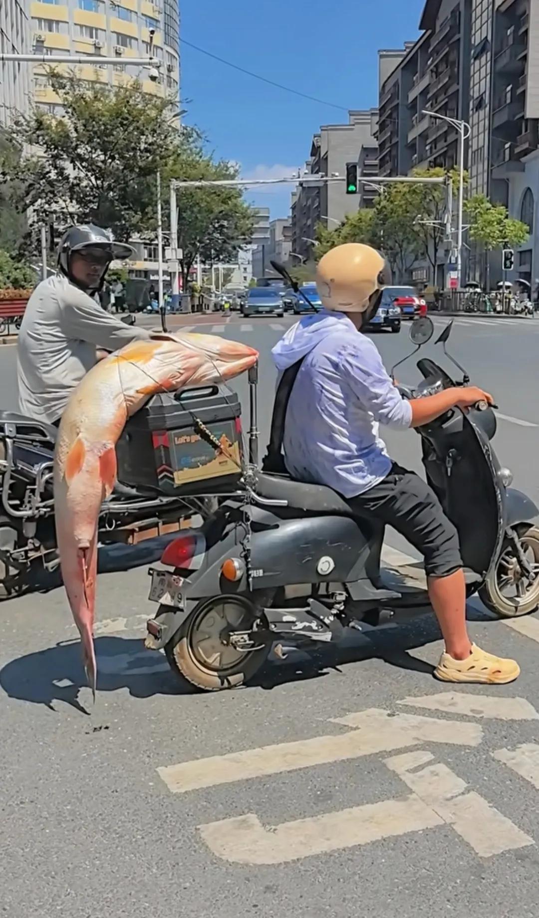 这么大一个战利品，怪不得哥们儿跑几条街了还找不到家！