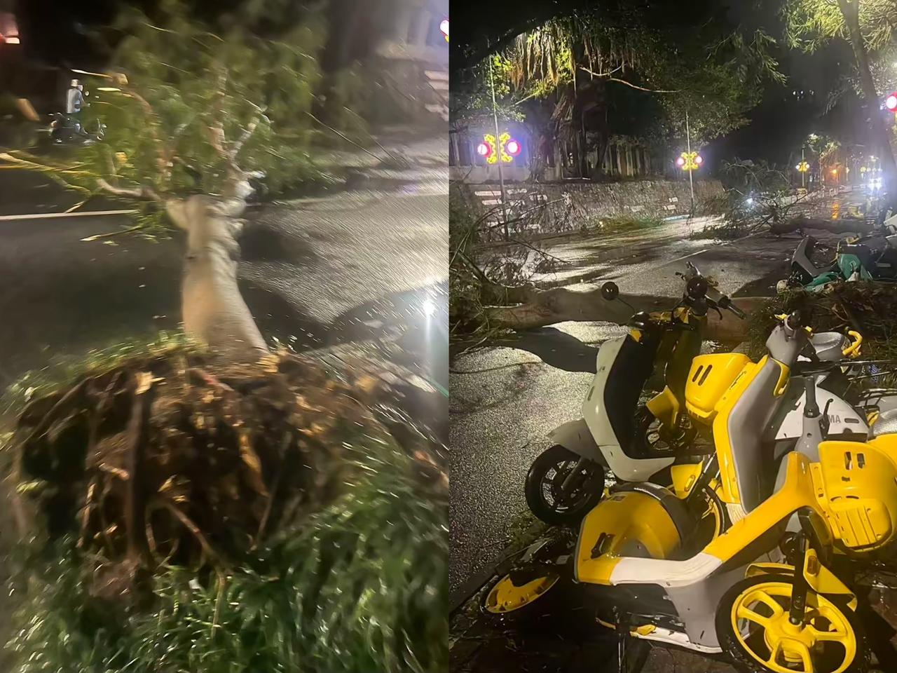 台风麦德姆这威力简直绝了！
上半夜刚过北海，
本以为能

安稳睡个好觉，谁能想到