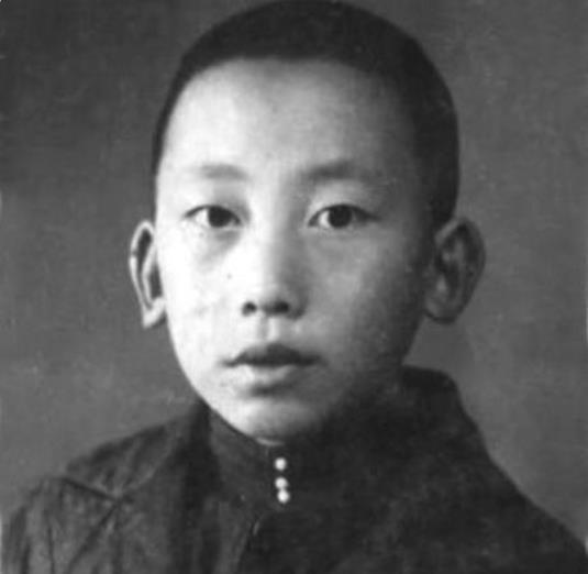 1944年，王震率领部队南下时，一个少年找到他，说我是毛主席的侄子。

1945