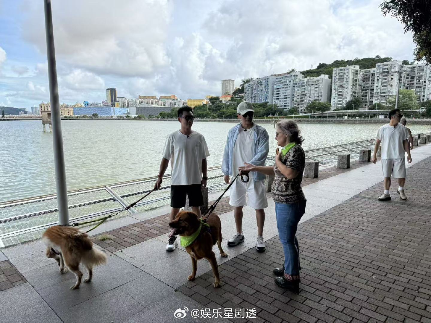 澳门街头偶遇李晨郑恺沙溢遛狗奔跑吧来到澳门的大家好像一下变得脱离硬汉形象了，个个