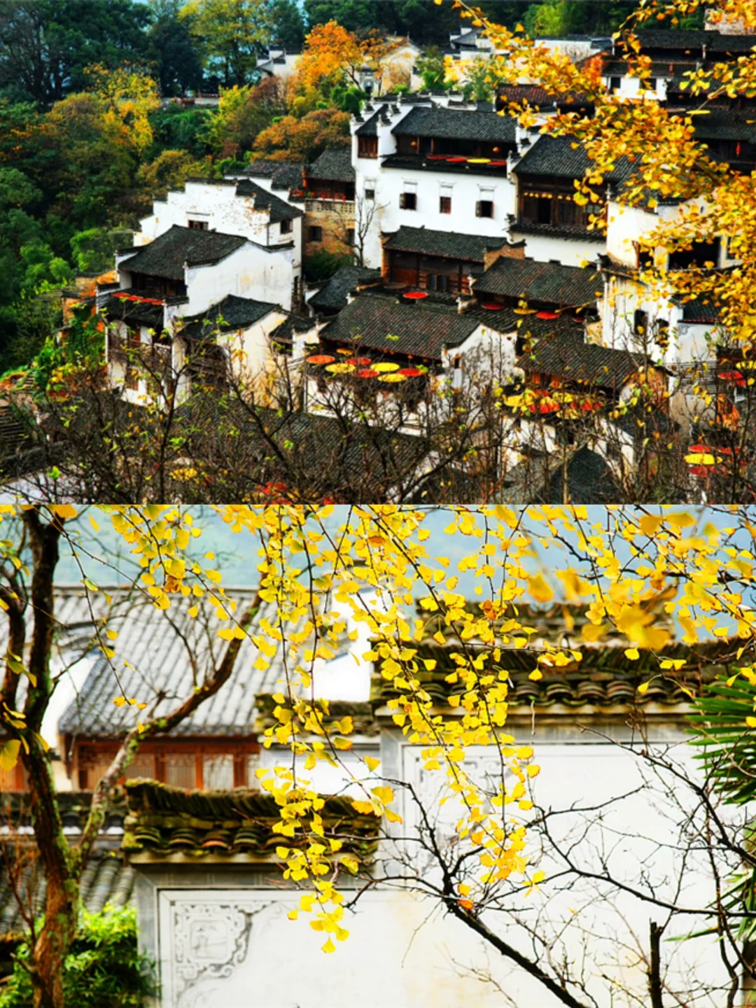 婺源晒秋｜一个充满诗意的地方