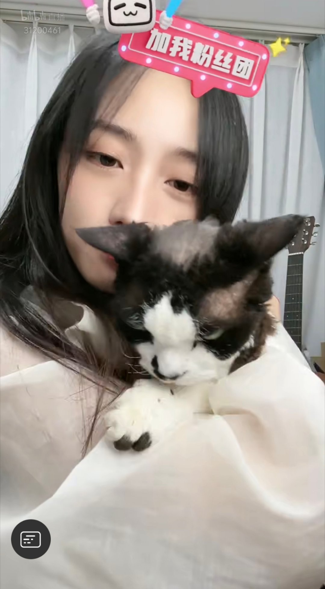 中年谢顶男喵一枚 