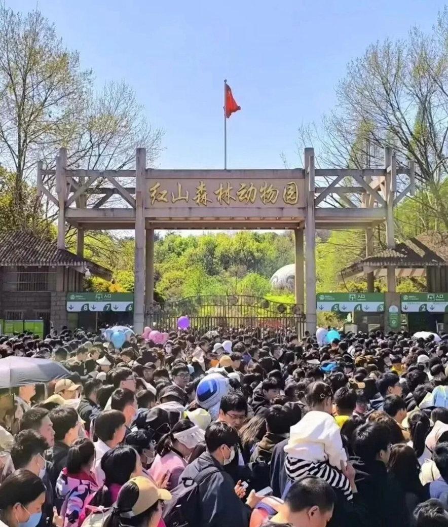 【“五一”，玄武的他们，闪闪发光！】五月的玄武，风是暖的，湖是清的，人是多的，这