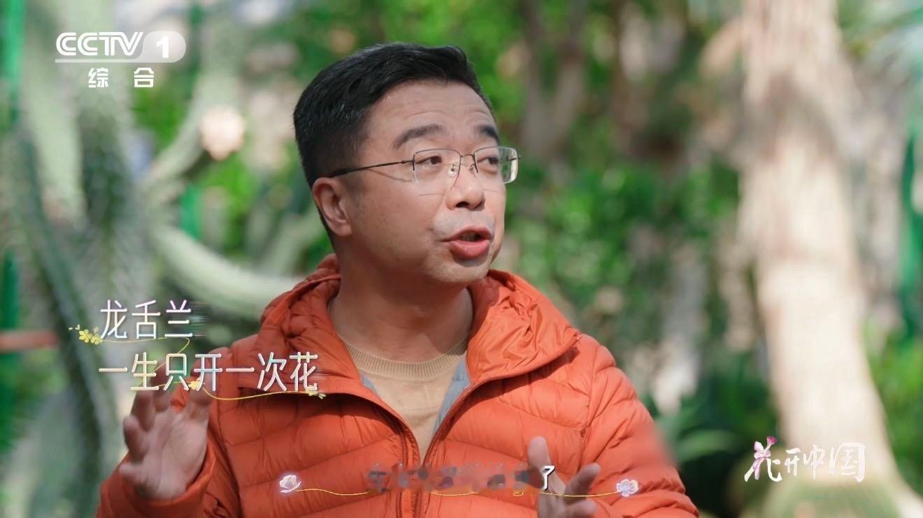 原来这不是芦荟啊龙舌兰一生只开一次花 以前总把龙舌兰当芦荟！没想到它藏着这么浪漫