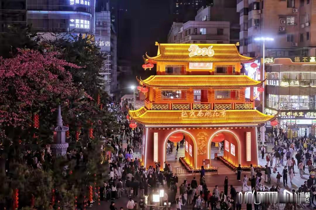 越秀西湖花市亮灯了！这波“穿越”把广州年味拉满
 
2月11号晚上，越秀西湖花市