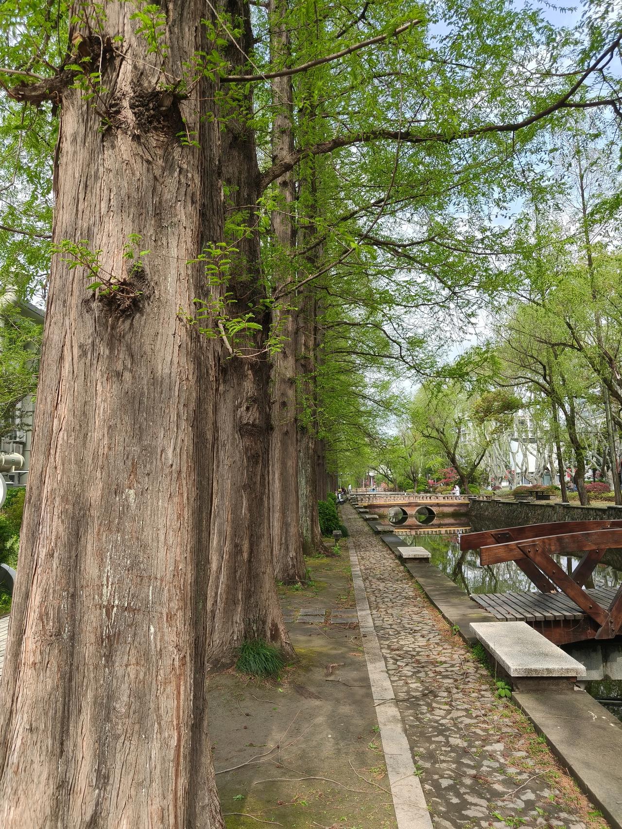自从第一次晒图大赛🉐了100多块钱以后，就非常热衷于来晒图，只不过现在的奖励越