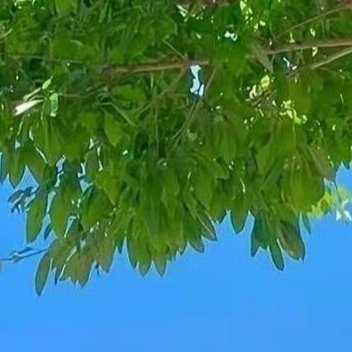 每日一善 阳光信用每日一善 人生如逆水行舟，不进则退。在这个竞争激烈的时代，只有