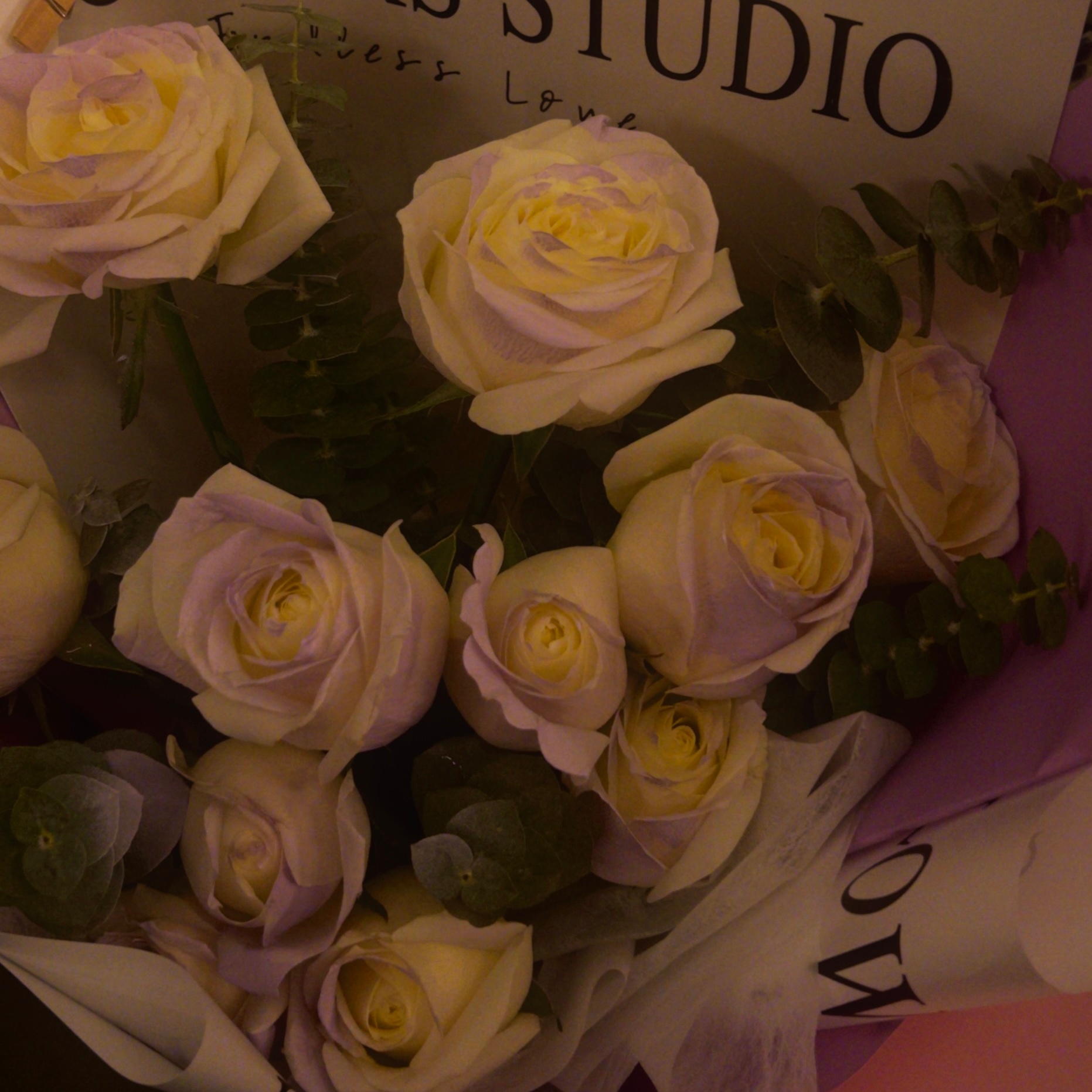 公园里面有什么__🍳/•᷅‎‎•᷄\୭ 记伊岁片我的青春刚刚好 ​​​