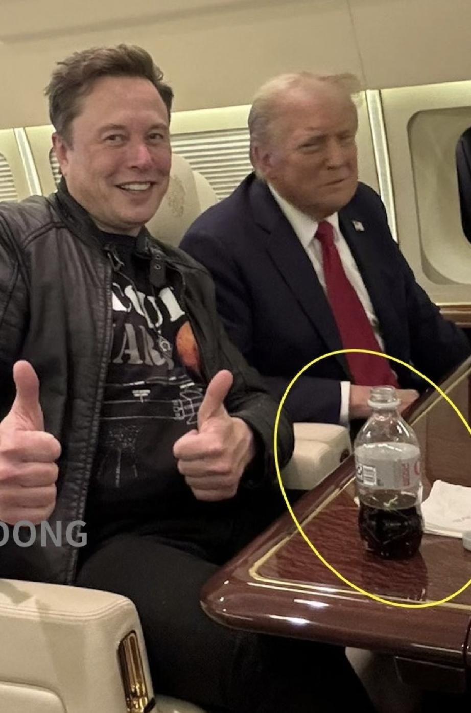 马斯克和特朗普都是白色人种。
老年特朗普的肤色变成了棕色，头发的颜色是白色的；马