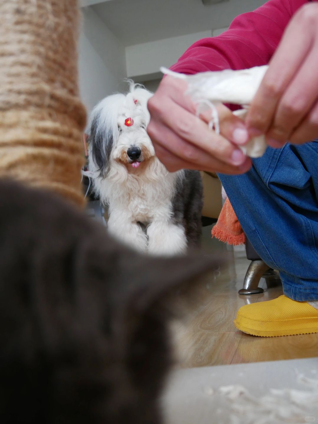 可以给我吃一口嘛？