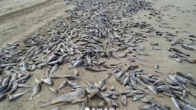 68块，一碗麻辣烫的钱。
女老板围裙往地上一摔，喊出那一声“报警”的时候，她心里