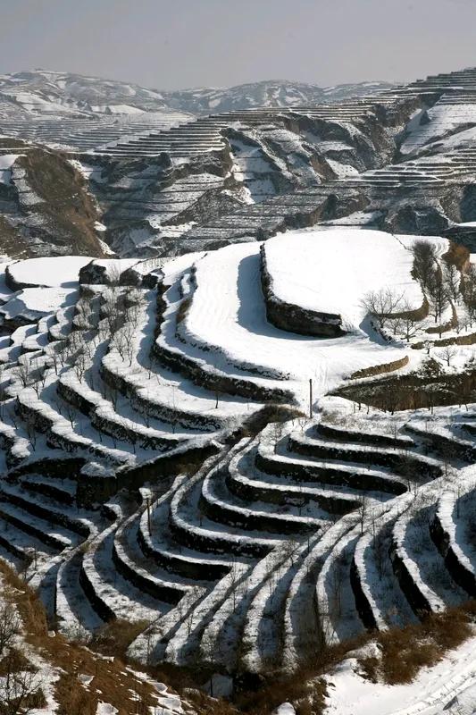 黄河流凌

黄土高原几字弯，
河面宽阔水流缓。
小雪节后结冰凌，
声如拉锯似哮喘