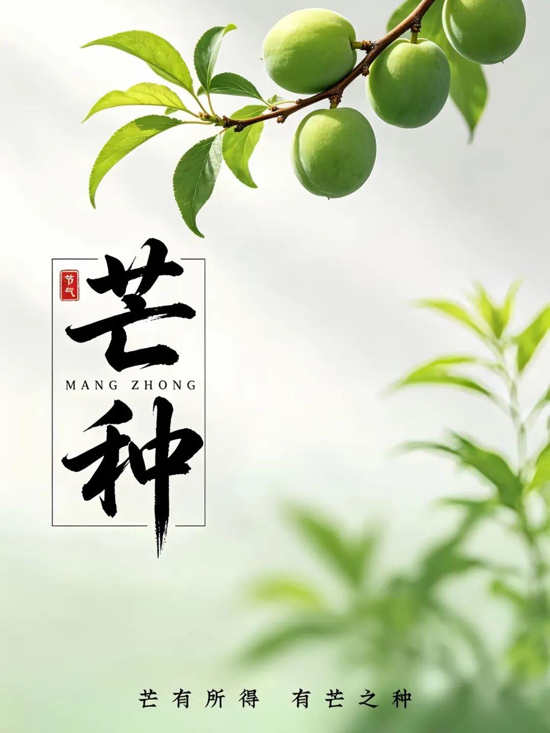 🌈今日芒种，愿你种下了一分真心，收获百万开心；撒播一分诚心，收割千万顺心；种下