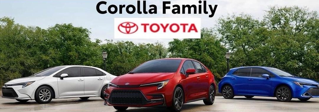 新时代定义上的中国版卡罗拉车族即将登场，睁大眼睛不要错过我与汽车的日常汽车杂谈