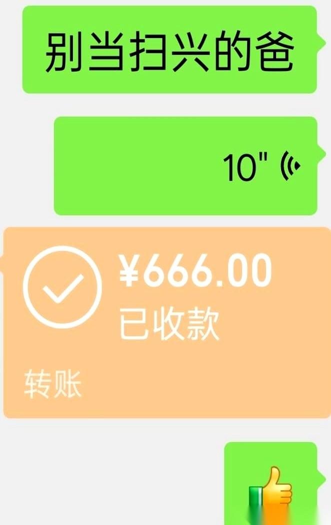 微信界面上，那个写着“666”的橙色红包孤零零地挂着。对面很快弹回来一行字：“咱