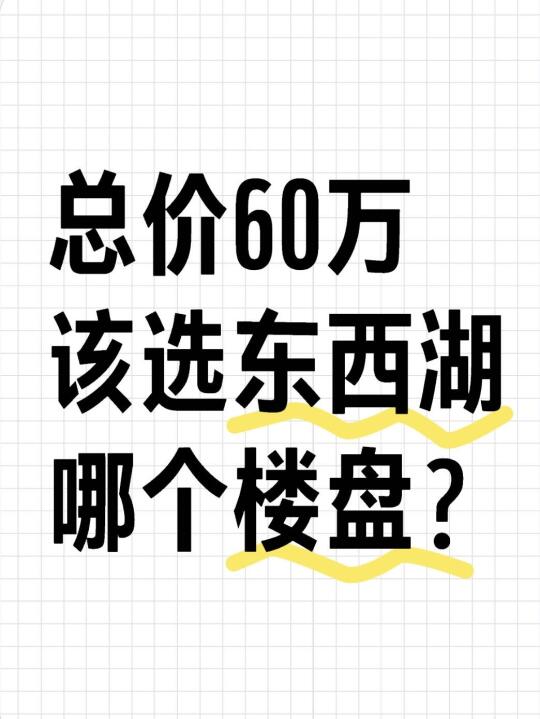 总价60万，该选东西湖哪个楼盘？