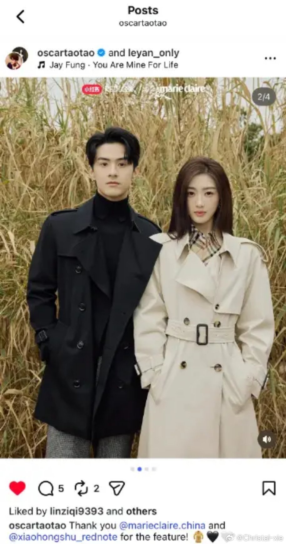 毓言cp哇，看看谁家那么优秀越努力越幸运