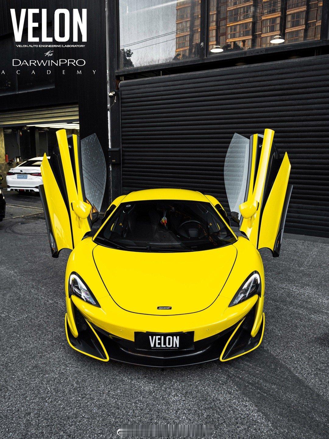 VELON Laboratory DarwinPRO | A C A D E M