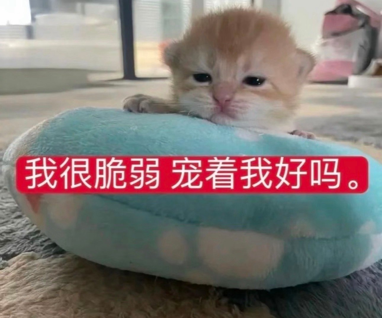 这几件事都要做✊✊✊1️⃣签到发帖超like先到王一博[超话] 签到，超like