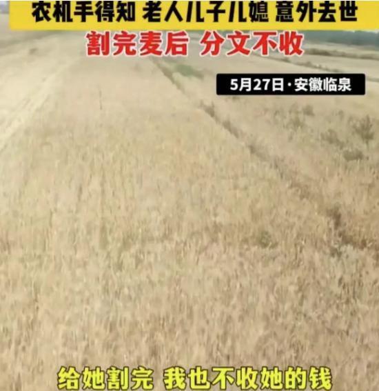 “眼泪止不住了！”安徽，美女农机手给 85 岁老人割麦时，得知老人的儿子儿媳全部