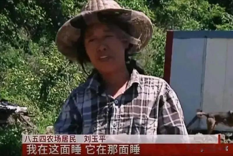 2006年，黑龙江一女子睡觉时，一条大蛇钻进了她的被窝，女子心软没把它赶走，谁知